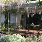 Windrush BnB Comboyne Australia - Yamba Accommodation 0