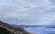 Kilcunda Ocean View Motel - thumb 0
