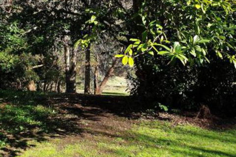 Redruth 2 Bedroom Cottage Situated In Wandiligong - Yamba Accommodation 4