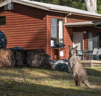 Wonderland Cottages - Yamba Accommodation