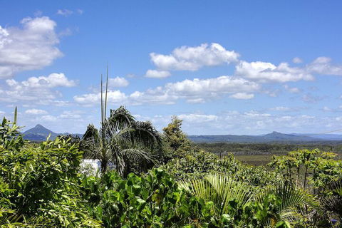 Piccolo Peregian - Pet Friendly- Peregian Beach, QLD - Yamba Accommodation 7