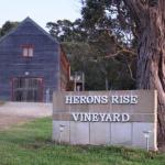 Herons Rise Vineyard Accommodation - Yamba Accommodation 0