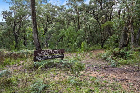 THE TEACHERS COTTAGE - Yamba Accommodation 5