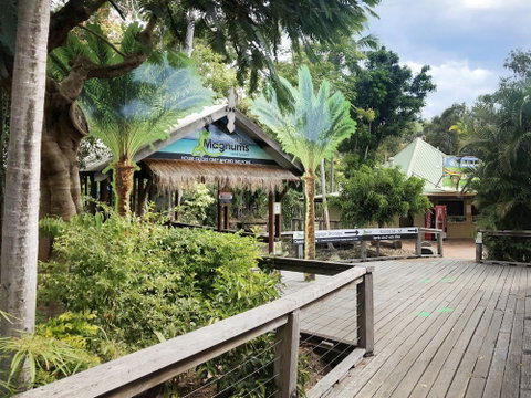 Magnums Airlie Beach - Yamba Accommodation 5