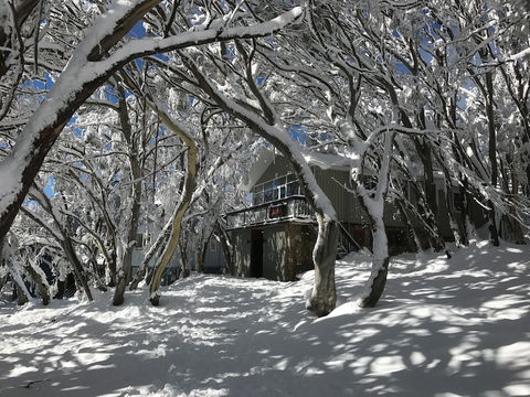 Amber Lodge Mt Buller - Hostel - Yamba Accommodation 2