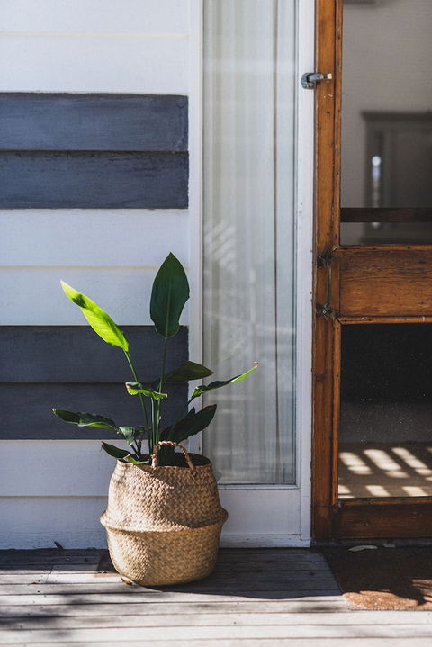 Beach Huts Middleton - Yamba Accommodation 1
