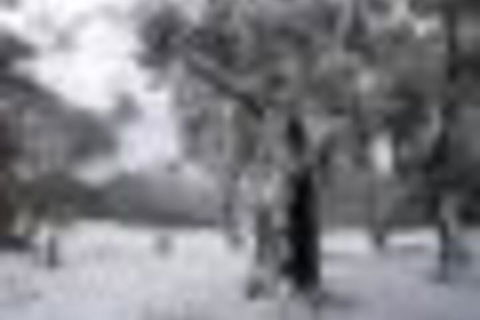 Twin Seasons 5 Deluxe Holiday Apartment - Yamba Accommodation 4