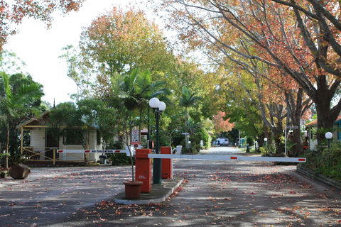 Lani's Holiday Island - Caravan Park - Yamba Accommodation 1