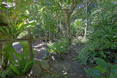 WategosRent - Yamba Accommodation 5