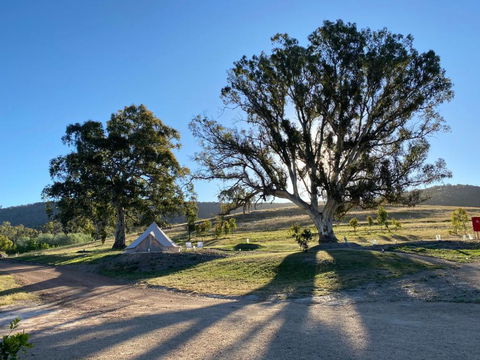 Mansfield Glamping - Yamba Accommodation 3