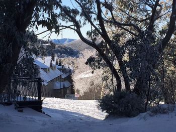Gran Sasso 3 - Yamba Accommodation 3
