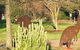 Chenery Retreat - thumb 4