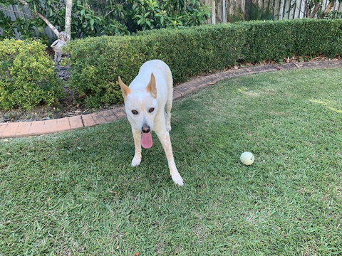 Manly's Hidden Gem - Yamba Accommodation 0