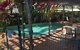 Coconut Palms On The Bay - thumb 1