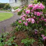 Blumont TAS Yamba Accommodation