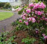 Anabels of Scottsdale - Yamba Accommodation