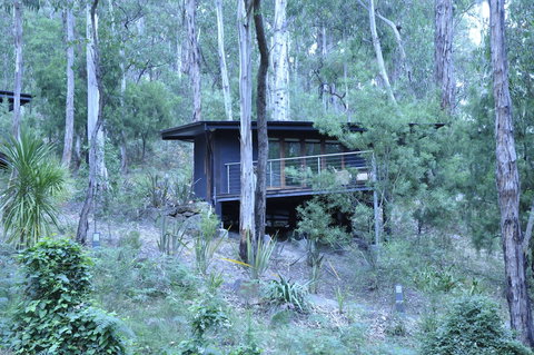 Qdos Arts - Yamba Accommodation 6