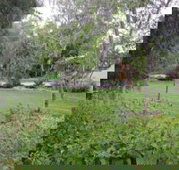 Amy's House - Yamba Accommodation