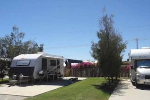 Dongara Tourist Park - Yamba Accommodation 2