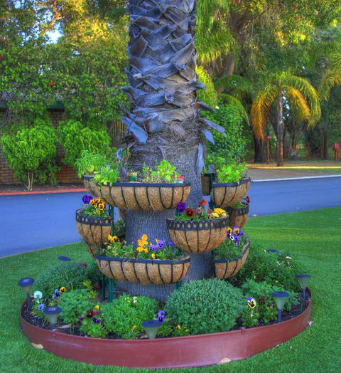 Mandurah Caravan & Tourist Park - Yamba Accommodation 4