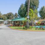 Mandurah Caravan & Tourist Park - Yamba Accommodation 1