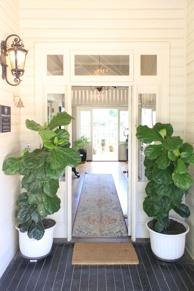 Bangalow NSW Yamba Accommodation