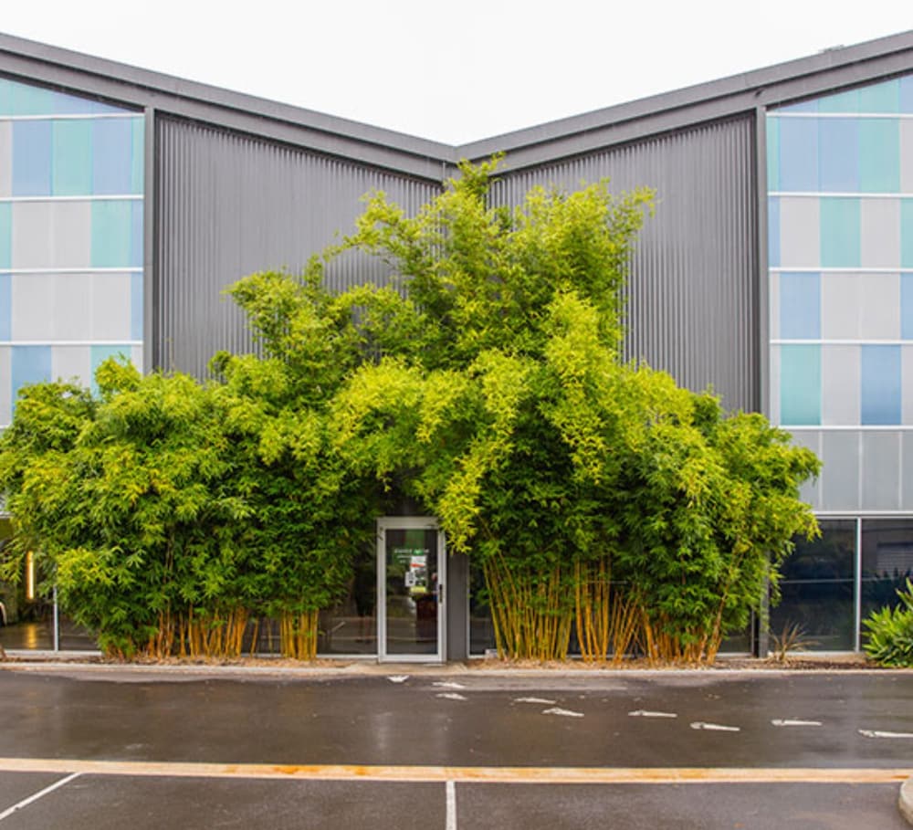 Flinders University SA Yamba Accommodation