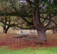 Auburn Shiraz Motel - Yamba Accommodation