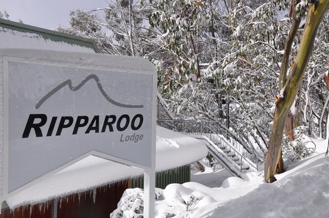Ripparoo Ski Lodge - Yamba Accommodation 1