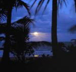 Sejala Beach Huts - Yamba Accommodation