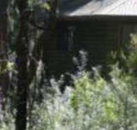 Twin Falls Bush Cottages - Yamba Accommodation