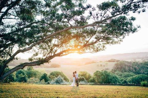 Cedia At Byron Bay Hinterland - Yamba Accommodation 1