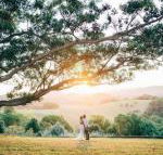 Cedia at Byron Bay Hinterland - Yamba Accommodation