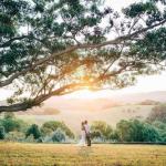 Cedia At Byron Bay Hinterland - Yamba Accommodation 0