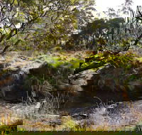 Green Gully House - Yamba Accommodation