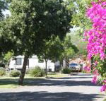 BIG 4 Hay - Yamba Accommodation