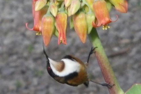 Cooinda Holiday Village - Yamba Accommodation 6