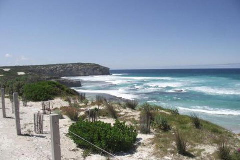 Cooinda Holiday Village - Yamba Accommodation 4