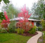 Dalrymples Guest Cottages - Yamba Accommodation