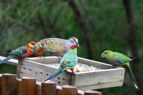 Honeymoon View - Yamba Accommodation 5
