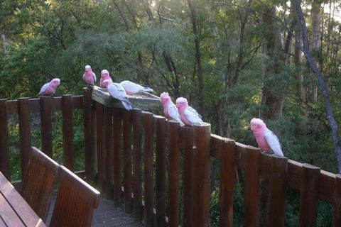 Honeymoon View - Yamba Accommodation 3