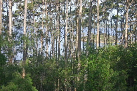 Honeymoon View - Yamba Accommodation 7