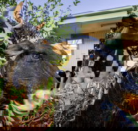 Big4 Shepparton Park Lane - Yamba Accommodation