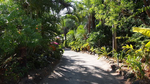 Palm Bay Resort - Yamba Accommodation 3