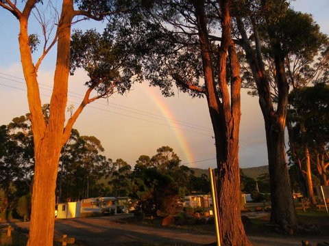 Captain Cook Holiday Park - Yamba Accommodation 5