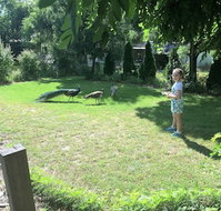 Windswept Country Retreat - Yamba Accommodation