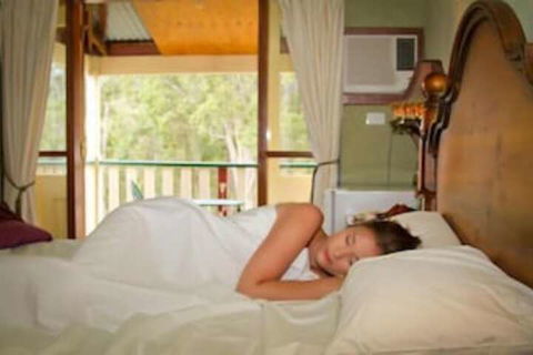 Bimbadeen Mountain Retreat - Yamba Accommodation 6