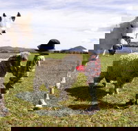 Taras Richmond Farmstay - Yamba Accommodation