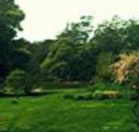 Birdwing Bed  Breakfast Weegena - Yamba Accommodation