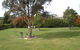 Hillcrest Tourist Park - thumb 4